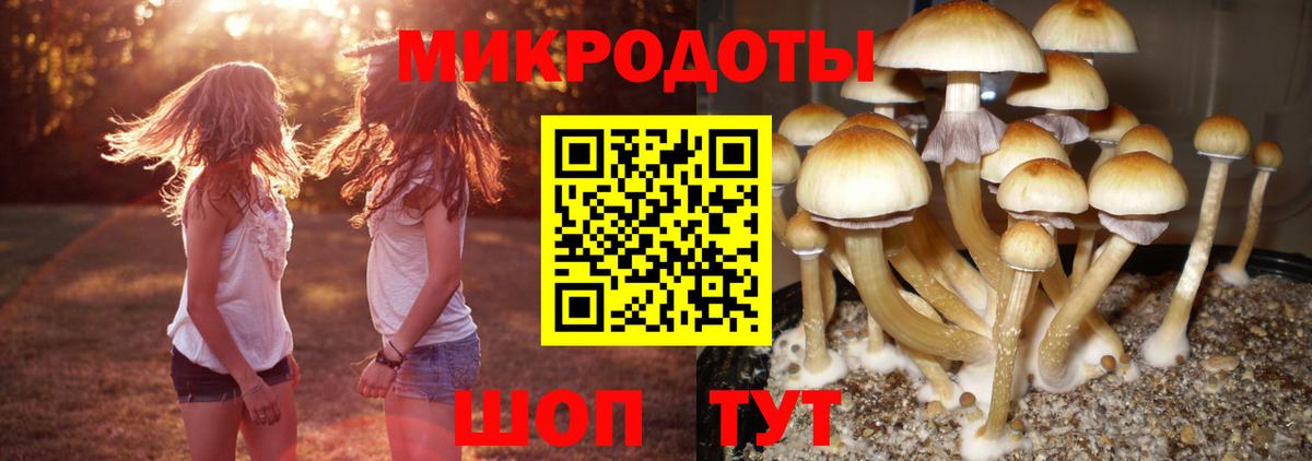 купить закладку  Вход с VPN  Родники  Псилоцибиновые грибы Psilocybe 